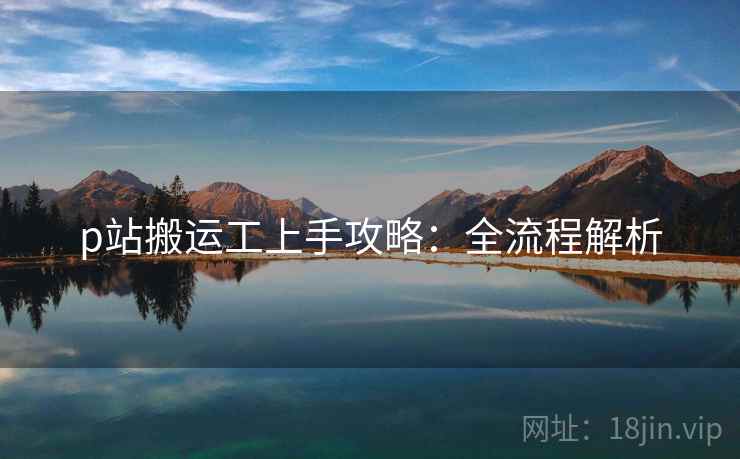 p站搬运工上手攻略：全流程解析