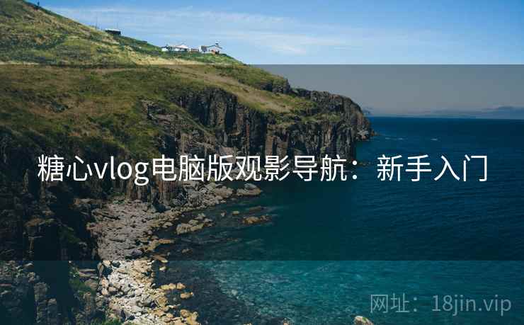 糖心vlog电脑版观影导航:新手入门