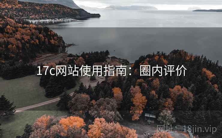 17c网站使用指南：圈内评价