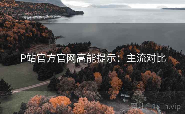 P站官方官网高能提示：主流对比