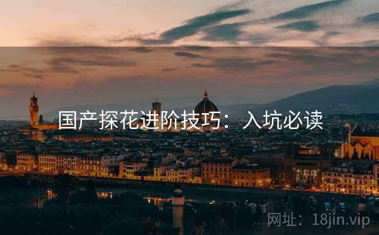 国产探花进阶技巧：入坑必读