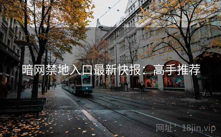 暗网禁地入口最新快报:高手推荐